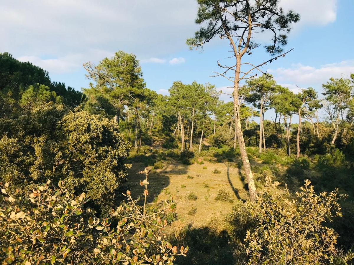 Maison De La Plage, Charme Et Soleil Saint-Jean-de-Monts Eksteriør bilde
